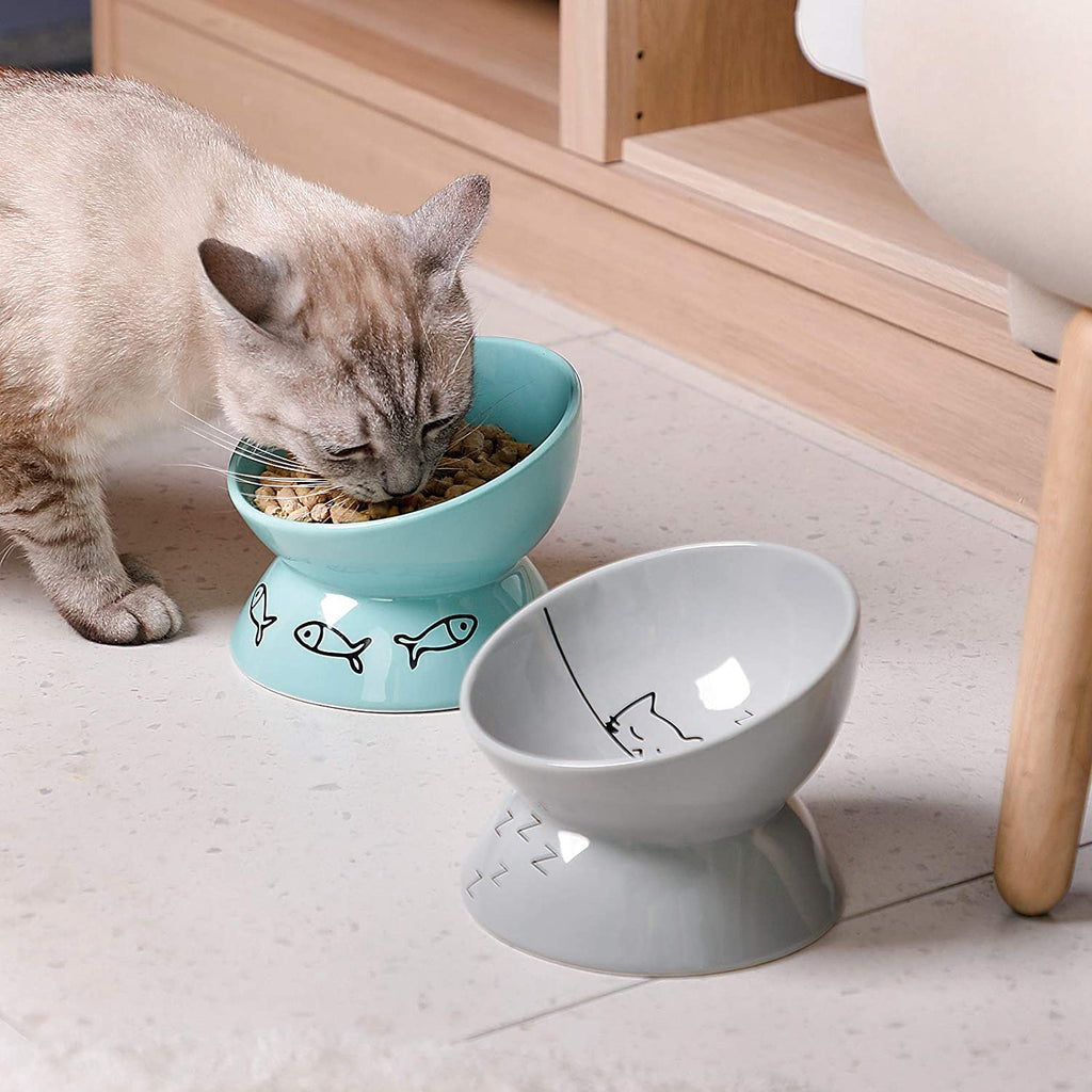 Elevated Ceramic Cat Bowls - Slanted Design for Stress-Free Eating & Drinking, Protects Cat's Spine (Gray)