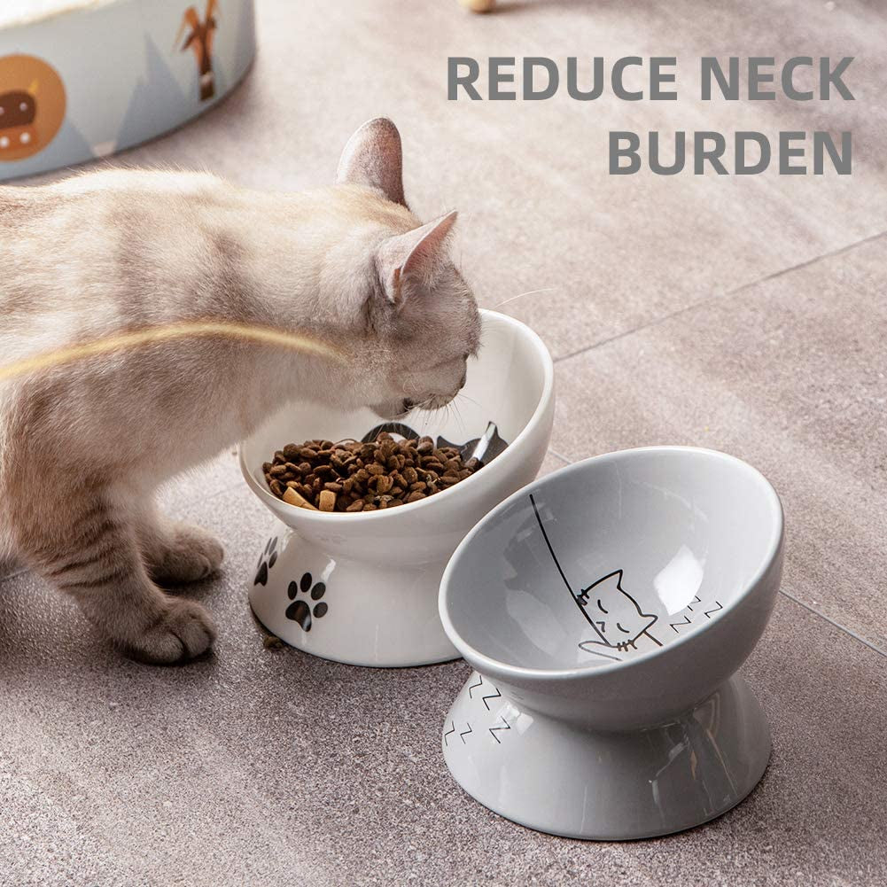 Elevated Ceramic Cat Bowls - Slanted Design for Stress-Free Eating & Drinking, Protects Cat's Spine (Gray)