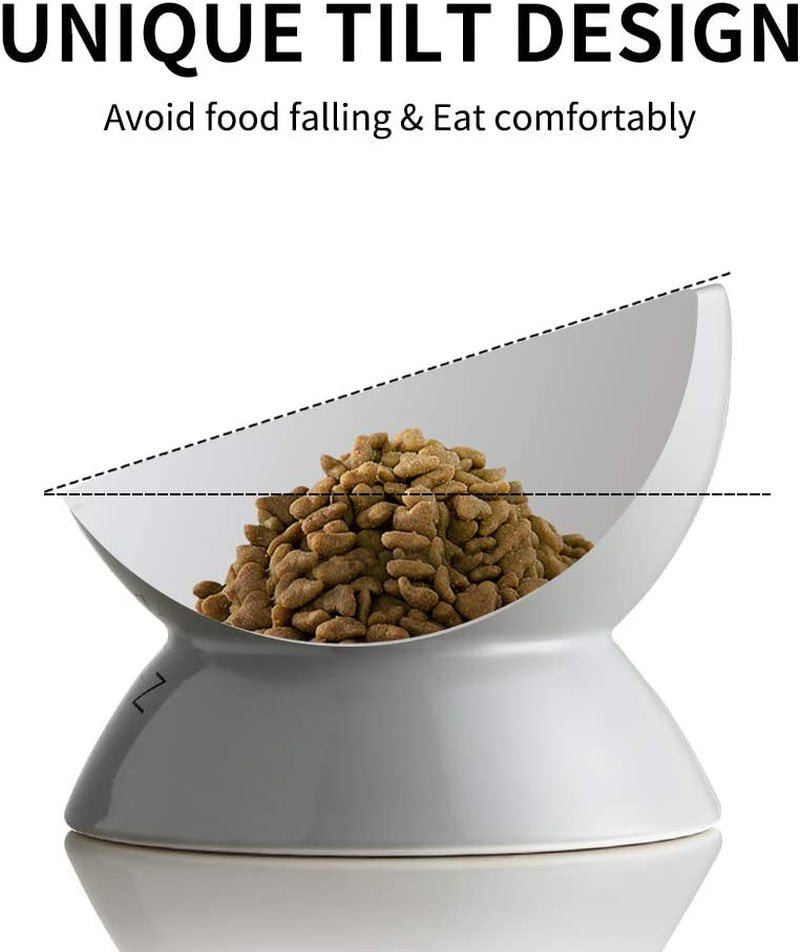 Elevated Ceramic Cat Bowls - Slanted Design for Stress-Free Eating & Drinking, Protects Cat's Spine (Gray)